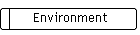 Environment